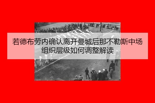 ruo-de-bu-lao-nei-que-ren-li-kai-man-cheng-hou-na-bu-le-si-zhong-chang-zu-zhi-ceng-ji-ru-he-tiao-zheng-jie-du-2-712.jpg