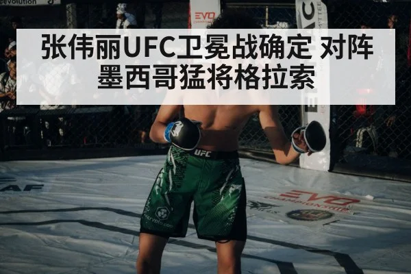 UFC octagon fight