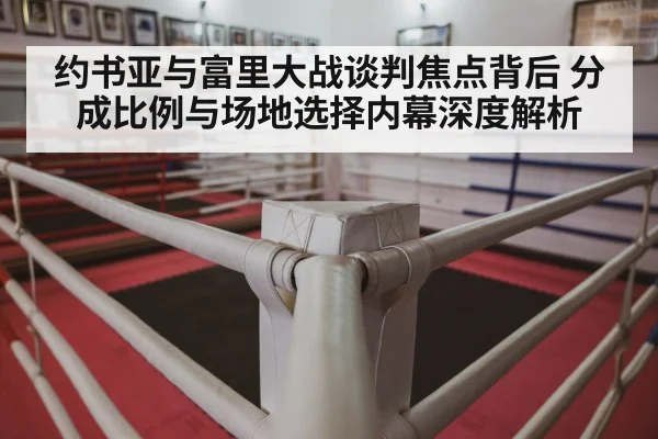 约书亚与富里大战谈判焦点背后 分成比例与场地选择内幕深度解析